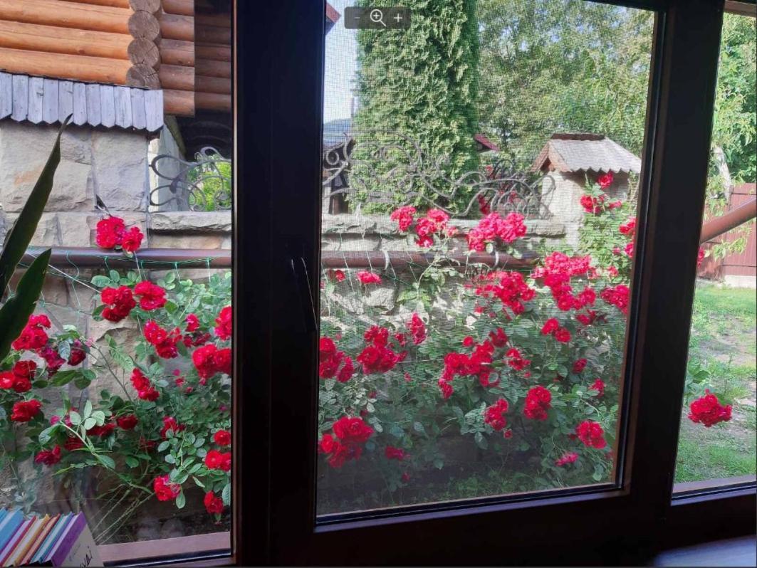 Villa Apple House à Mykulychyn Extérieur photo